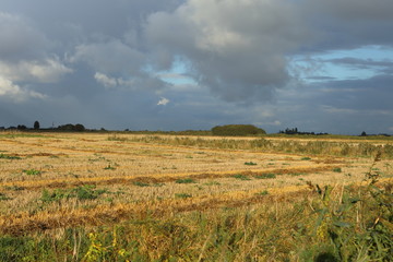 Fenland stubble field and big sky