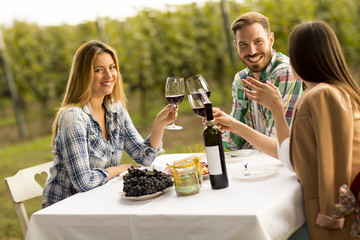 Dinner in the vineyard