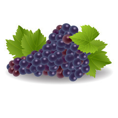Fototapeta premium Illustration of a bunch of grapes isolated on white background