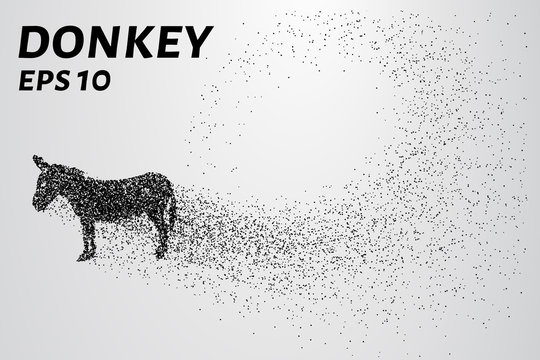 Donkey of the particles. The donkey is made up of little circles. Vector illustration