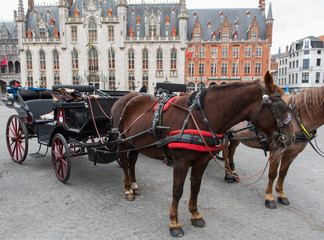 Naklejka na ściany i meble horse carriage in front of thr Brugge city hall