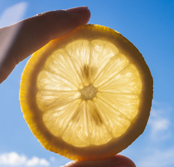 Lemon Slice in the Sun