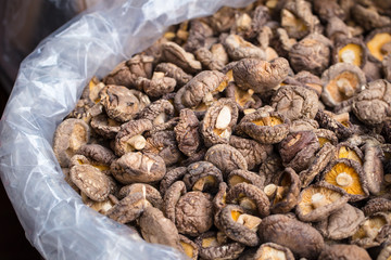 dry shiitake mushroom.