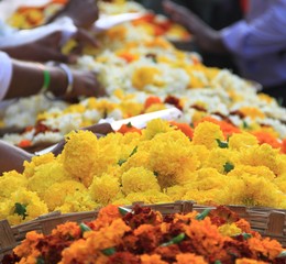 Floral Market