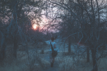 Tourist walking in the bush and Acacia grove at sunset, Bushmandland, Namibia. Adventure and exploration in Africa. Toned image.
