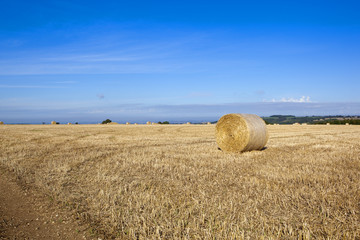 straw bales in autumn