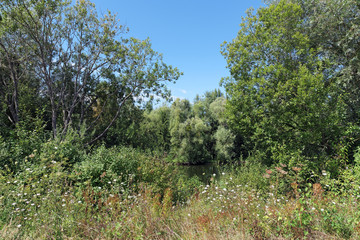 Fototapeta premium Toutevoie lake in the Oise Pays-de-France Regional Nature Park