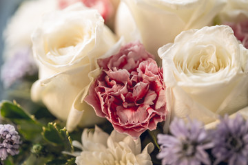 White Rose with Carnation vintage color tone.