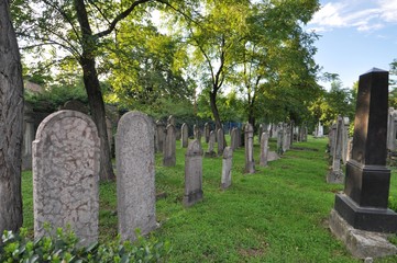 Jewish cemetery in Szentendre 