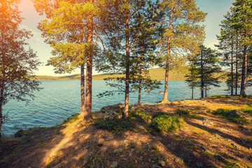 Fototapety  Brzeg morza w słoneczny dzień. Sosny w pobliżu morza. Nad morze jesienią. Finlandia. Europa