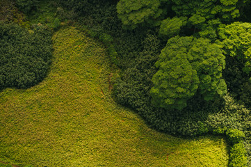 Aerial view of grassland, Kauai, Na Pali Coast State Park, Hawaii, United States of America
