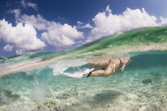 Woman Snorkeling, Grand Cayman, Cayman Islands, Caribbean Sea, North America