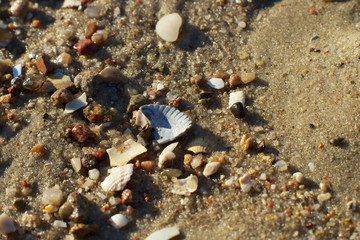 Strandgut