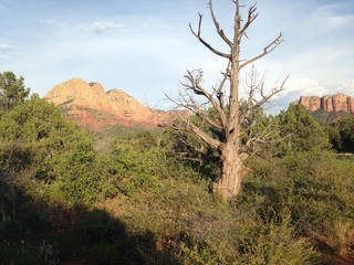 Sedona Arizona Multi-Layered Rock Hills