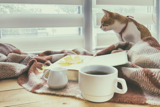 Cup of coffee, book with autumn yellow leaf and red-white cat surrounded wool blanket on windowsill. Cup of coffee book with autumn yellow leaf and red-white cat surrounded wool blanket on windowsill