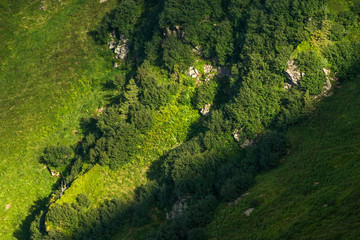 Fototapeta na wymiar Carpathian mountain slope