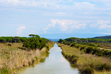 Obraz premium river in the natural park, tuscany, italy