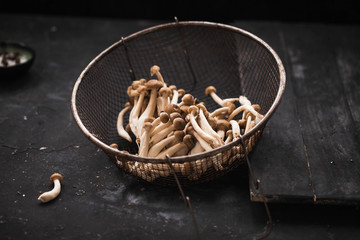 Eastern Shimeji mushrooms. Brown beech mushrooms bowl over dark table.