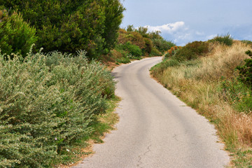 winding road on the hills in summer