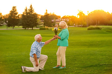 Fototapeta premium Man giving flowers to woman. Senior couple on green meadow. Heart of the gentleman. Accept this modest gift.