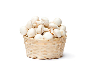 heap  of fresh mushroom champignons in a basket isolated on whit