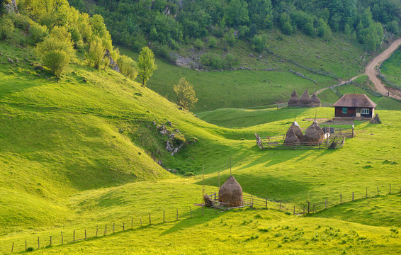 mountain landscape in summer morning, Romania