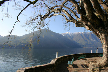 The Lake Como from Villa Carlotta at Canedabbia