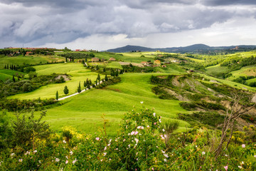 Fototapeta premium Scenery of Val d'Orcia in Tuscany