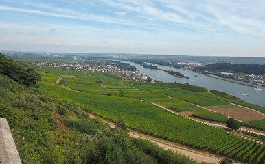 Rüdesheim - Rhein - Bingen - Überblick