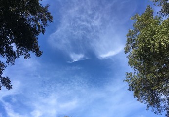 cirrus fibratus clouds with border in fall