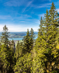 Alps and forest in a summer day in Germany