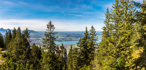 Alps and forest in a summer day in Germany