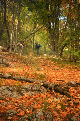 Autumn forest with colorful leaves and figure of outgoing person