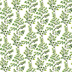 Watercolor maidenhair fern seamless pattern. Hand painted fern o