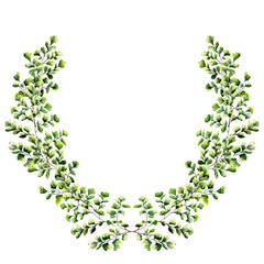 Watercolor floral border with maidenhair fern leaves. Hand painted floral wreath with branches, leaves of fern isolated on white background. For design or background