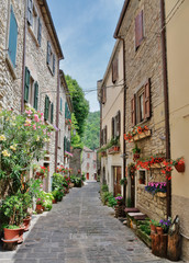 Fototapeta na wymiar Narrow old street with flowers in Italy
