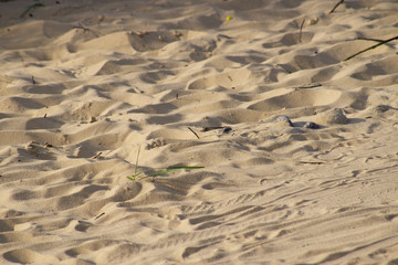 Sand