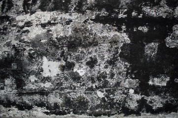 texture the surface a painted concrete wall