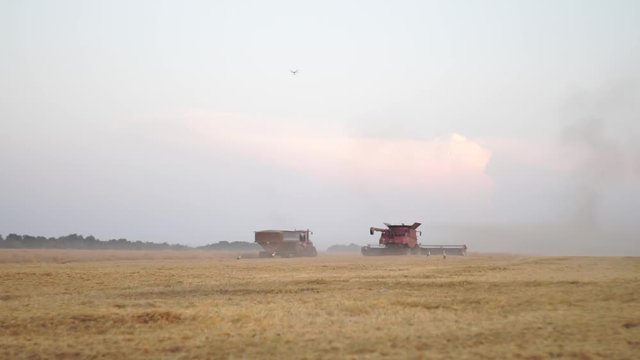 Tractor and combine harvester working on the field