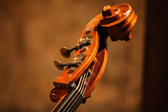 Kontrabass