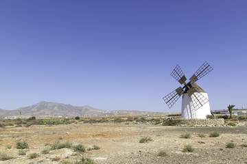 Fototapeta premium Traditionelle Windmühle auf Fuerteventura, Kanaren