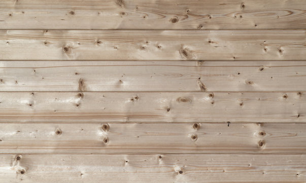 Holz