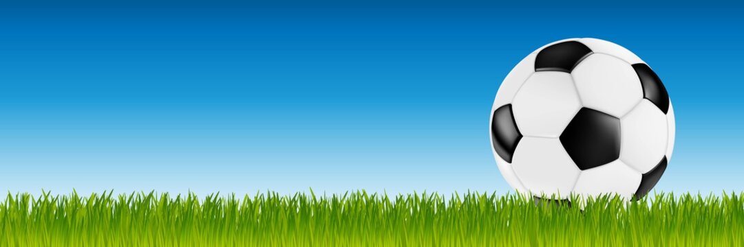 soccer retro vector leather ball black white on green grass in front of blue sky