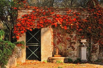 quiet corner of autumn garden with the leaves