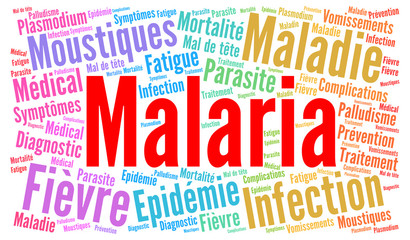 Malaria word cloud concept with french text