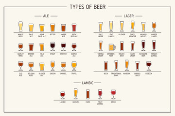 Types of beer. Various types of beer in recommended glasses. Vector illustration