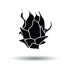 Dragon fruit icon
