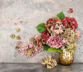 Hortensia flowers bouquet grungy stone background