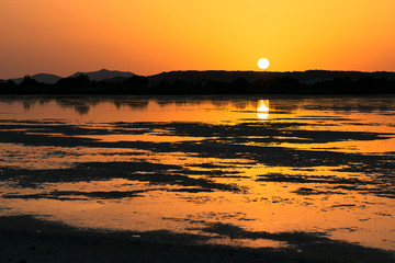 Sunset on the pond of pink flamingos in Chia, Sardinia.