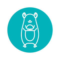 Circle shape with marmot animal vector illustration